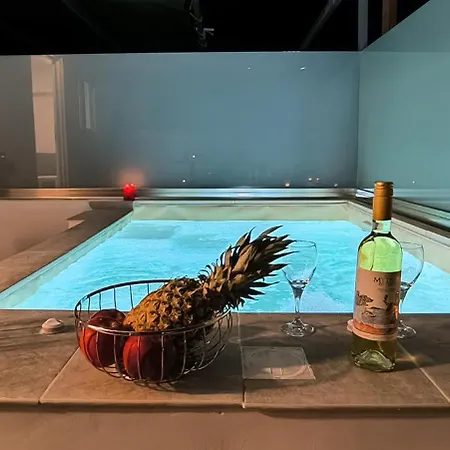 Apartment Cozy Private Plunge Pool- Fiber Internet - Private Parking *